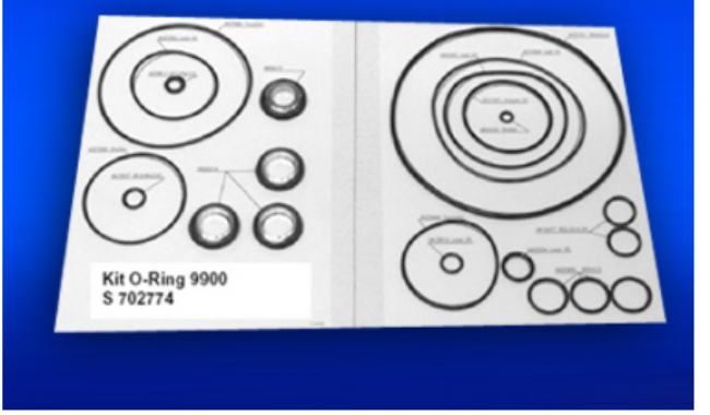 S702774 O-Ring Kit for 9800 thermofhser ARL