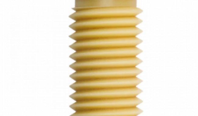 144996 Frame Screw, Standard CEM
