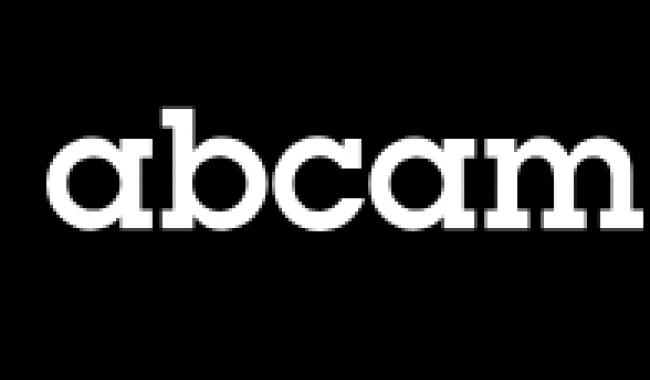 211677 Bottle Bacto Peptone 500g AB Media