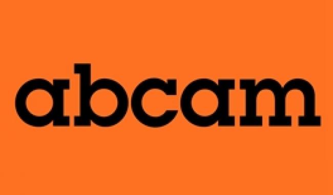 ab150079 Goat Anti-Rabbit IgG H&L (Alexa Fluor  647)