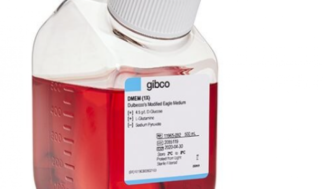 11965092 Gibco DMEM, high glucose 500ML